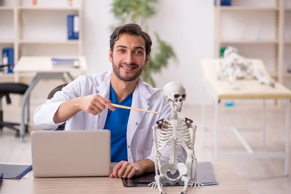 Молодий Чоловік Лікар Вивчає Скелет Людини Клініці — стокове фото