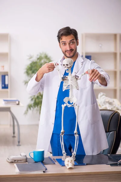 Молодой Врач Изучает Скелет Человека Клинике — стоковое фото