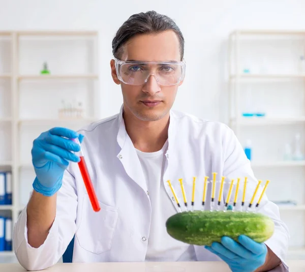 전문가가 실험실에서 야채를 검사하는 — 스톡 사진