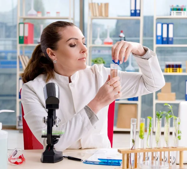 Química Cientista Biotecnológica Feminina Que Trabalha Laboratório — Fotografia de Stock
