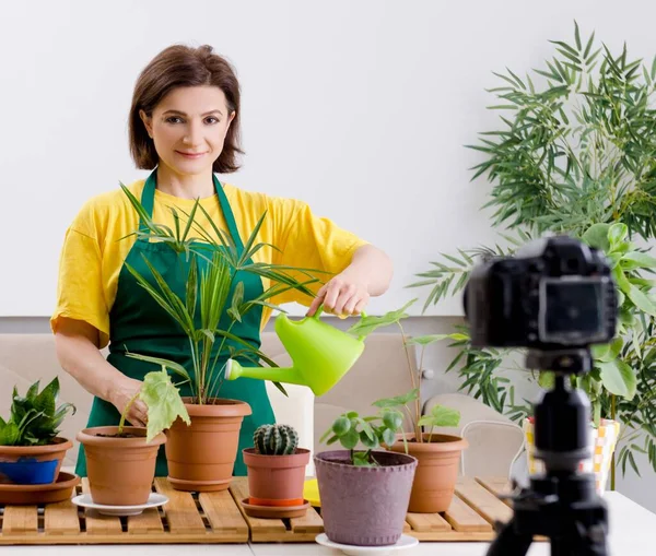 Жіночий Блогер Пояснює Вирощування Кімнатних Рослин — стокове фото