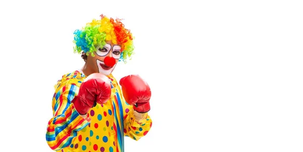 Der Männliche Clown Isoliert Auf Weiß — Stockfoto