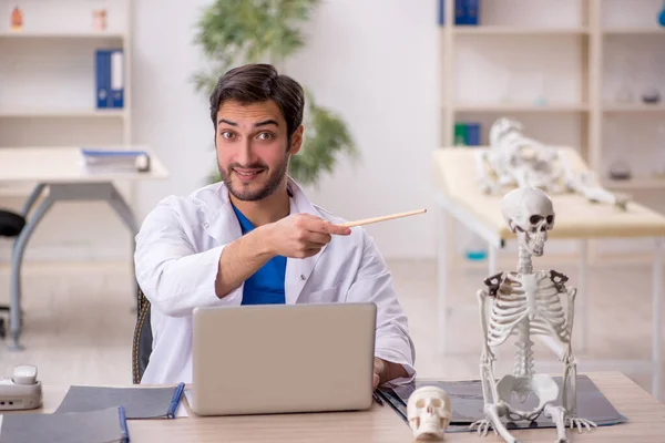 Fiatal Férfi Orvos Tanulmányozza Emberi Csontváz Klinikán — Stock Fotó
