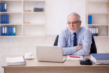 Old employee working at workplace