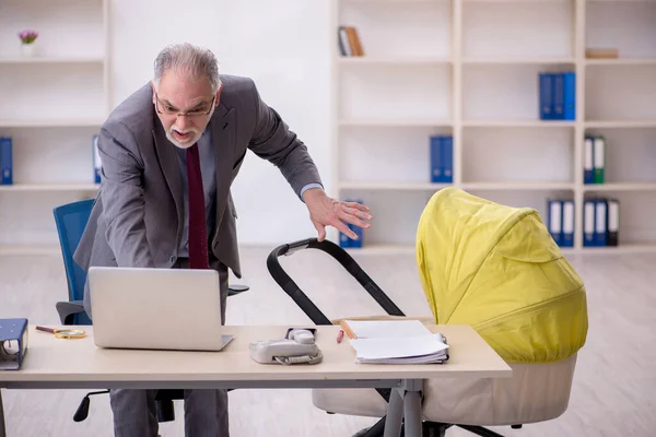 Old Businessman Employee Looking New Born Office — Stock Photo, Image