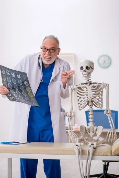 Gammal Läkare Undersöker Skelett Sjukhuset — Stockfoto