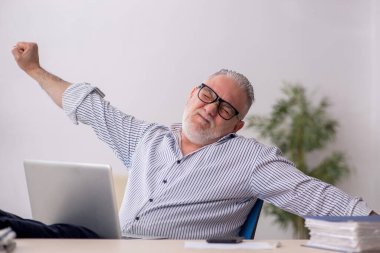 Old employee working at workplace