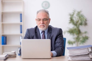 Old employee working at workplace