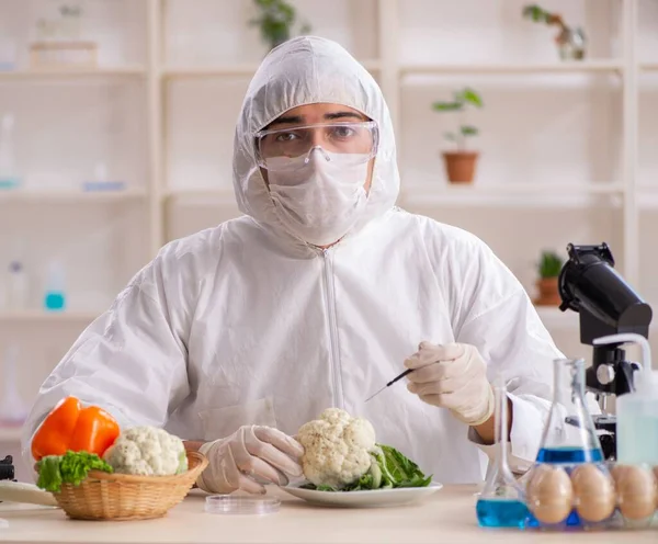 Científico Que Trabaja Laboratorio Gmo Frutas Verduras —  Fotos de Stock