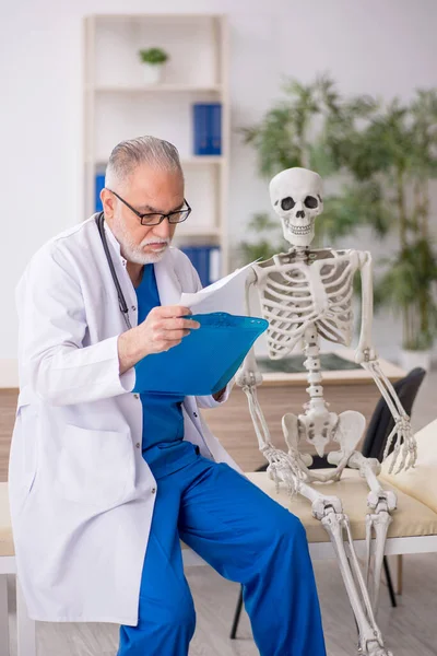 Старый Врач Осматривает Скелет Больнице — стоковое фото