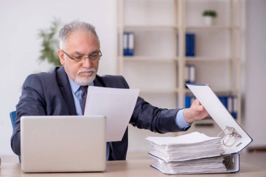 Old employee working at workplace