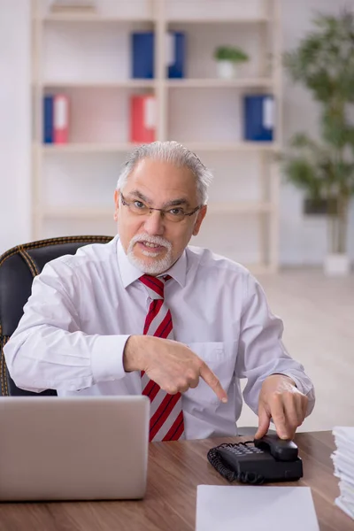 Old Businessman Employee Too Much Work Office — Stock Photo, Image
