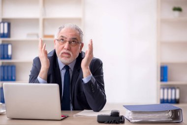 Old employee working at workplace