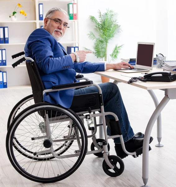 Der Ältere Mitarbeiter Rollstuhl Bei Der Arbeit Büro — Stockfoto