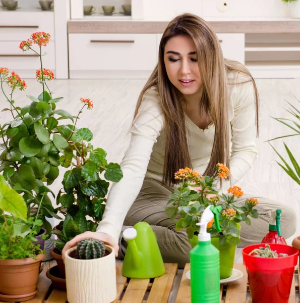 Fiatal Női Kertész Növényekkel Belsejében — Stock Fotó