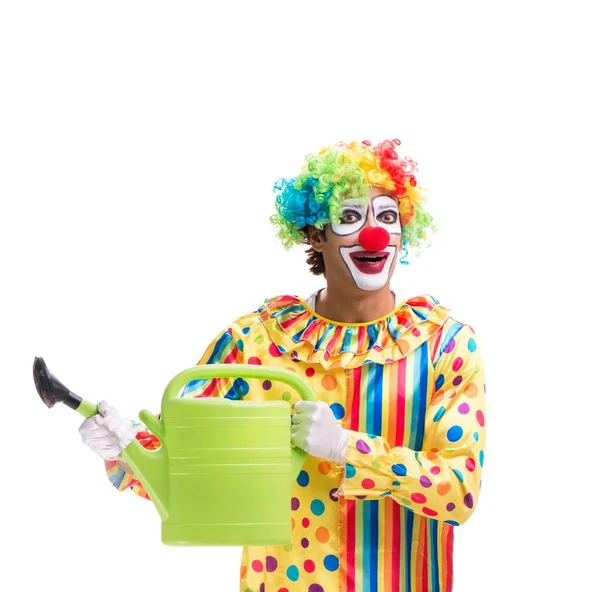 Den Roliga Clown Isolerad Vit Bakgrund — Stockfoto