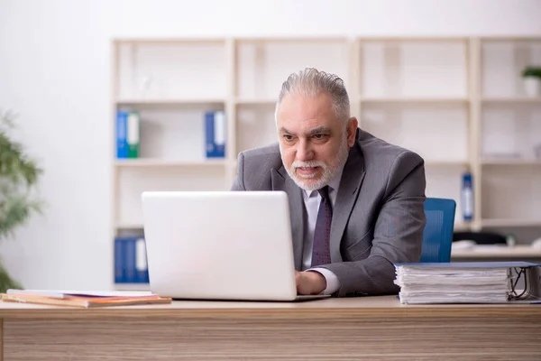 stock image Old employee working in the office