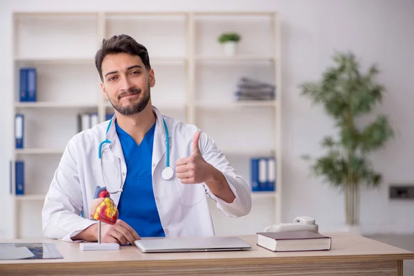 Young Doctor Cardiologist Sitting Clinic — Stock Photo, Image