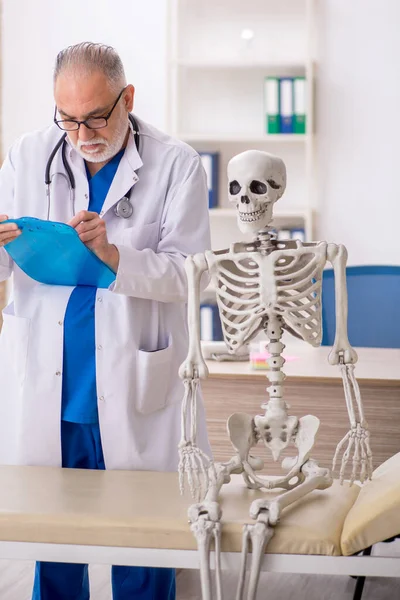 Старый Врач Осматривает Скелет Больнице — стоковое фото