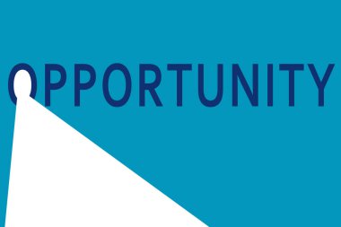 Başarıya giden yolda fırsat kavramı