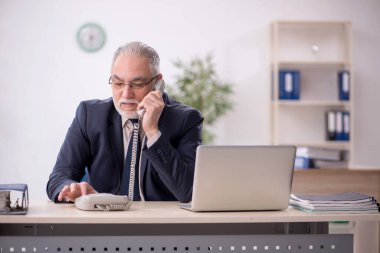 Old businessman employee talking by phone at workplace