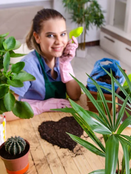 Jonge Vrouwelijke Tuinman Met Planten Binnen — Stockfoto