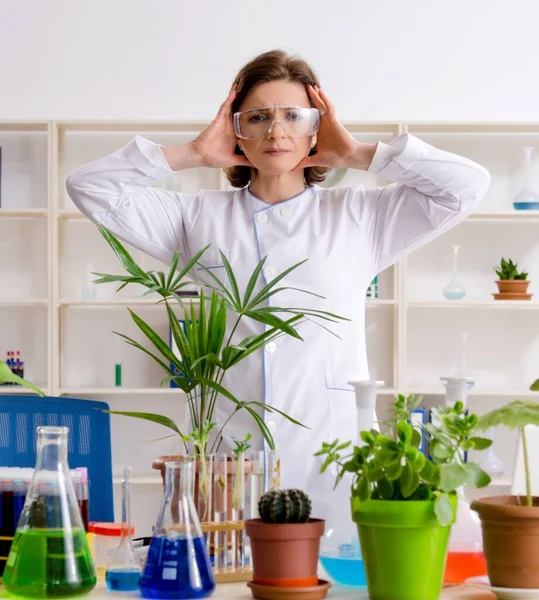 Den Gamla Kvinnliga Bioteknikkemisten Som Arbetar Labbet — Stockfoto