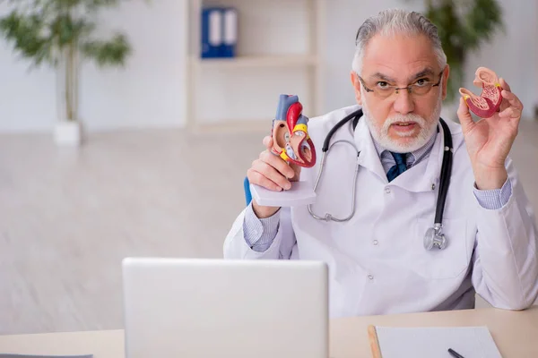 Velho Médico Cardiologista Que Trabalha Clínica — Fotografia de Stock