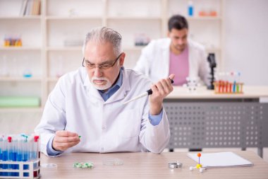 Two chemists working at the lab