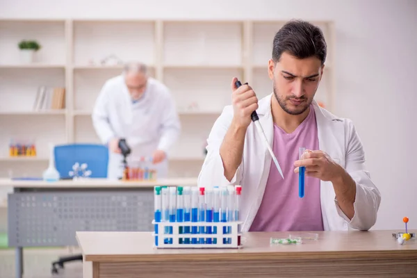 Two Chemists Working Lab — Stockfoto