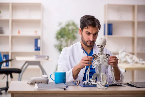 Νεαρός Άνδρας Γιατρός Που Μελετά Ανθρώπινο Σκελετό Στην Κλινική — Φωτογραφία Αρχείου