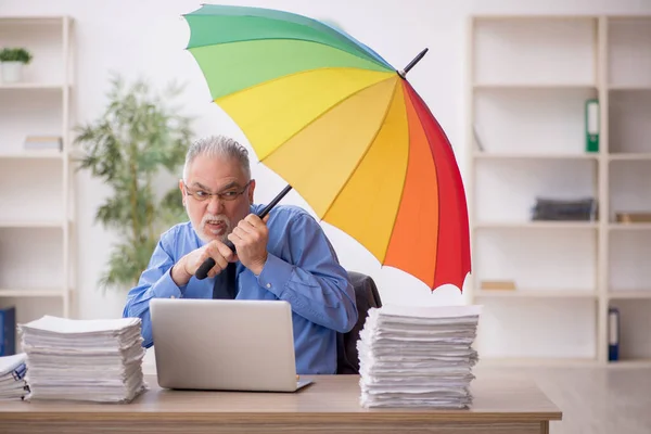 Old Employee Holding Umbrella Workplace — Zdjęcie stockowe