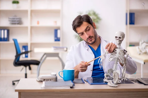 Jonge Mannelijke Arts Bestudeert Menselijk Skelet Kliniek — Stockfoto