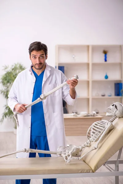 Young Male Doctor Skeleton Hospital — Stock Photo, Image