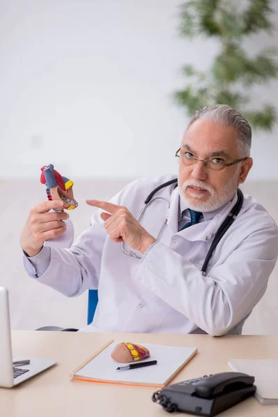 Alter Kardiologe Arbeitet Der Klinik — Stockfoto