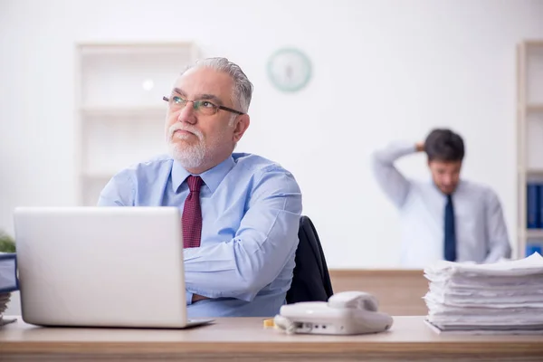 stock image Two colleagues working at workplace