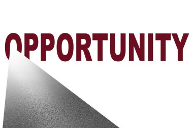 Başarıya giden yolda fırsat kavramı