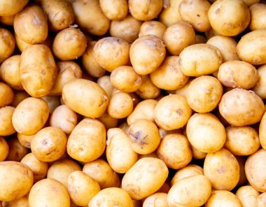 The potatoes at the market display