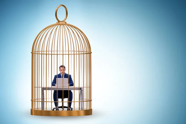 Businessman Caught Cage Business Concept — Stock Photo, Image