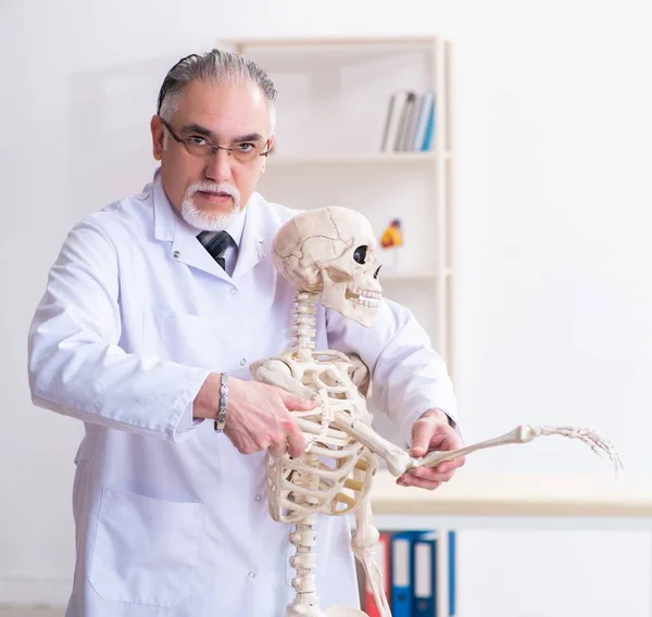 Лікар Віці Скелетом — стокове фото