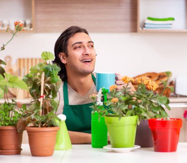 Genç yakışıklı adam evde çiçek yetiştiriyor.