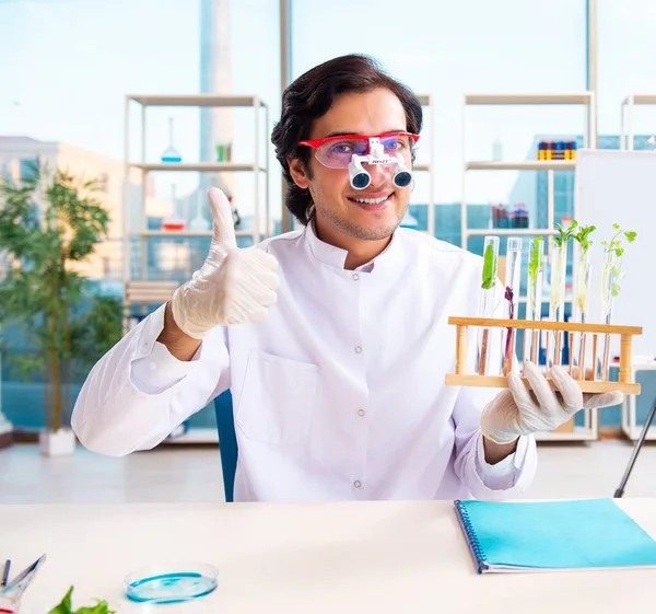 Laboratuvarda Çalışan Erkek Biyoteknoloji Bilim Adamı Kimyager — Stok fotoğraf