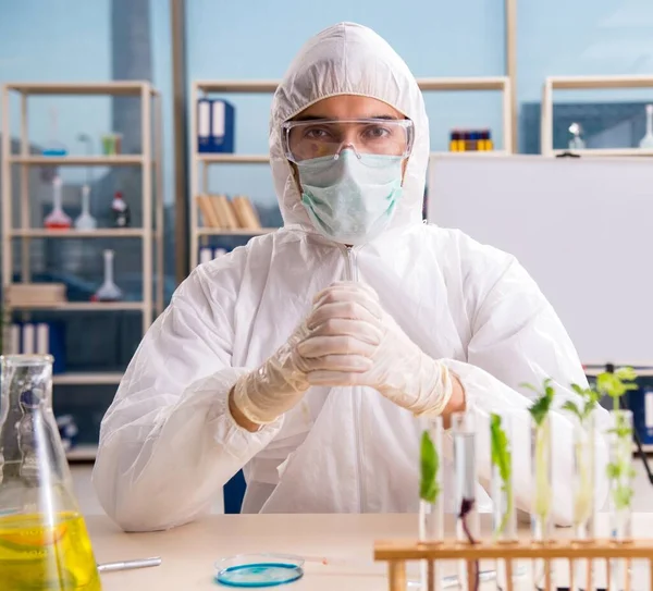 Científico Químico Biotecnología Masculino Que Trabaja Laboratorio —  Fotos de Stock
