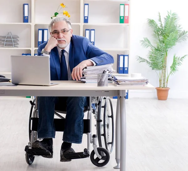Starší Zaměstnanec Invalidním Vozíku Pracující Kanceláři — Stock fotografie