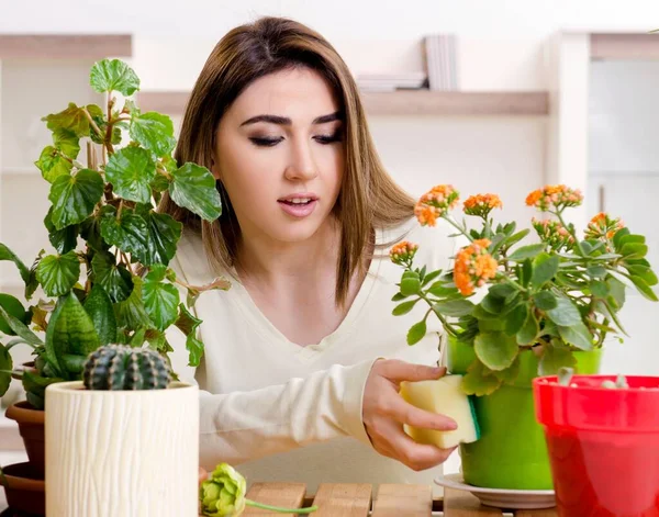Evin Içinde Bitkileri Olan Genç Bayan Bahçıvan — Stok fotoğraf