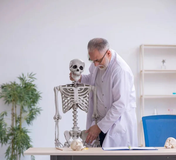 Antigo Professor Anatomia Demonstrando Esqueleto Humano — Fotografia de Stock