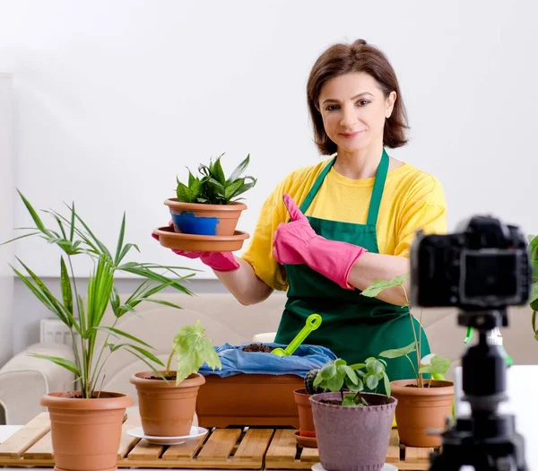Blogueira Feminina Explicando Plantas Sala Crescendo — Fotografia de Stock
