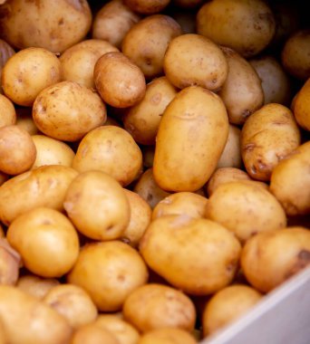 The potatoes at the market display