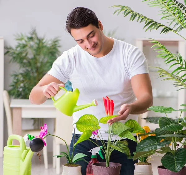 Young Man Gardening Concept Home — Stock Photo, Image