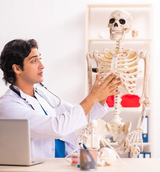 Joven Doctor Con Esqueleto —  Fotos de Stock